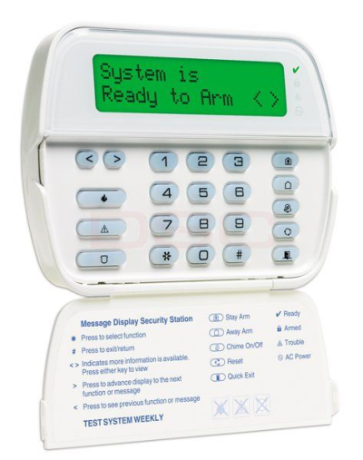 10006